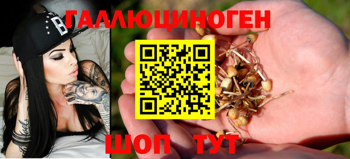 Галлюциногенные грибы MAGIC MUSHROOMS  Вход с VPN  Кировск 