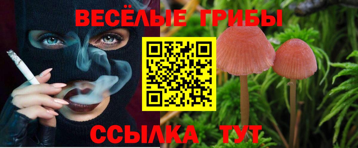 COCAIN  Кировск  МАРИХУАНА  Альфа ПВП СК   ГАШИШ  Мефедрон кристаллы  Вход с VPN 